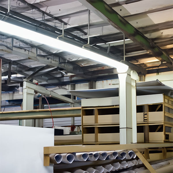 Paper and Pulp Industry